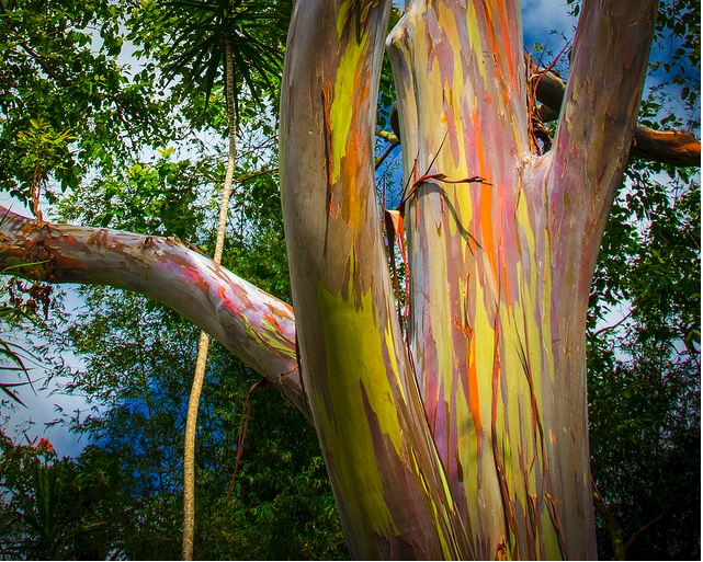 Screen Shot 2017-04-27 at 12.24.07 pm.png